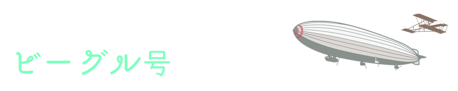 �r�[�O����